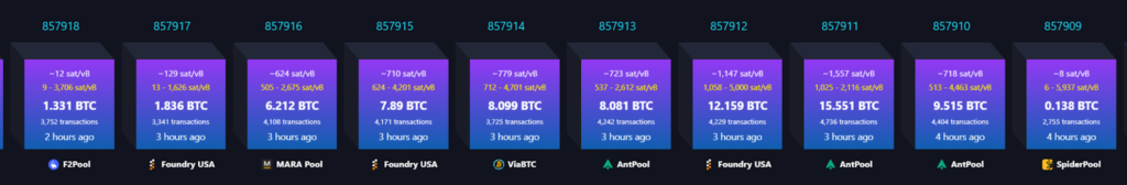 babylon chain launch transaction fee increase