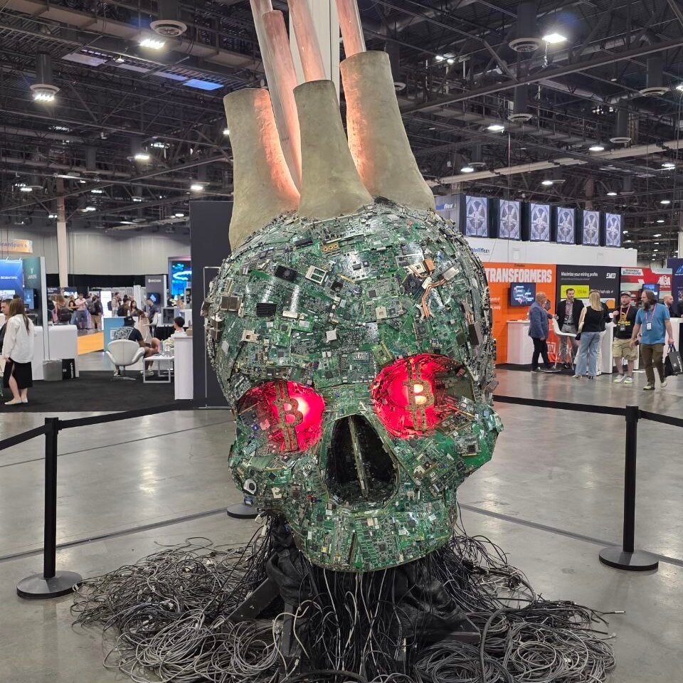 skull of satoshi bitcoin 2025